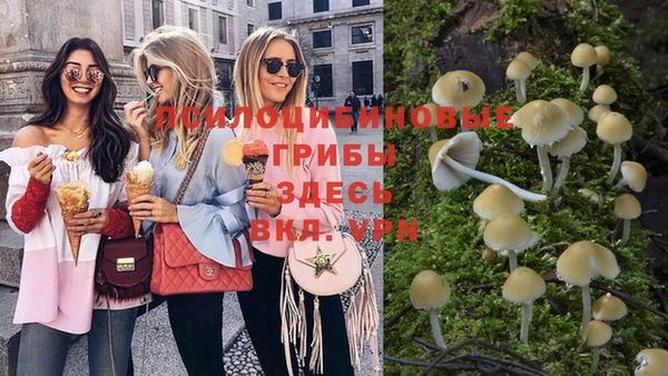 мяу мяу мука Армянск