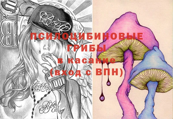 ешки Аркадак