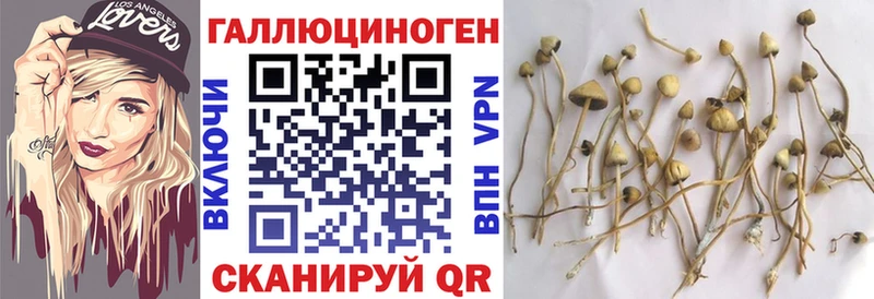 дарк нет телеграм  blacksprut ТОР  Псилоцибиновые грибы Magic Shrooms  Среднеуральск  купить наркоту 